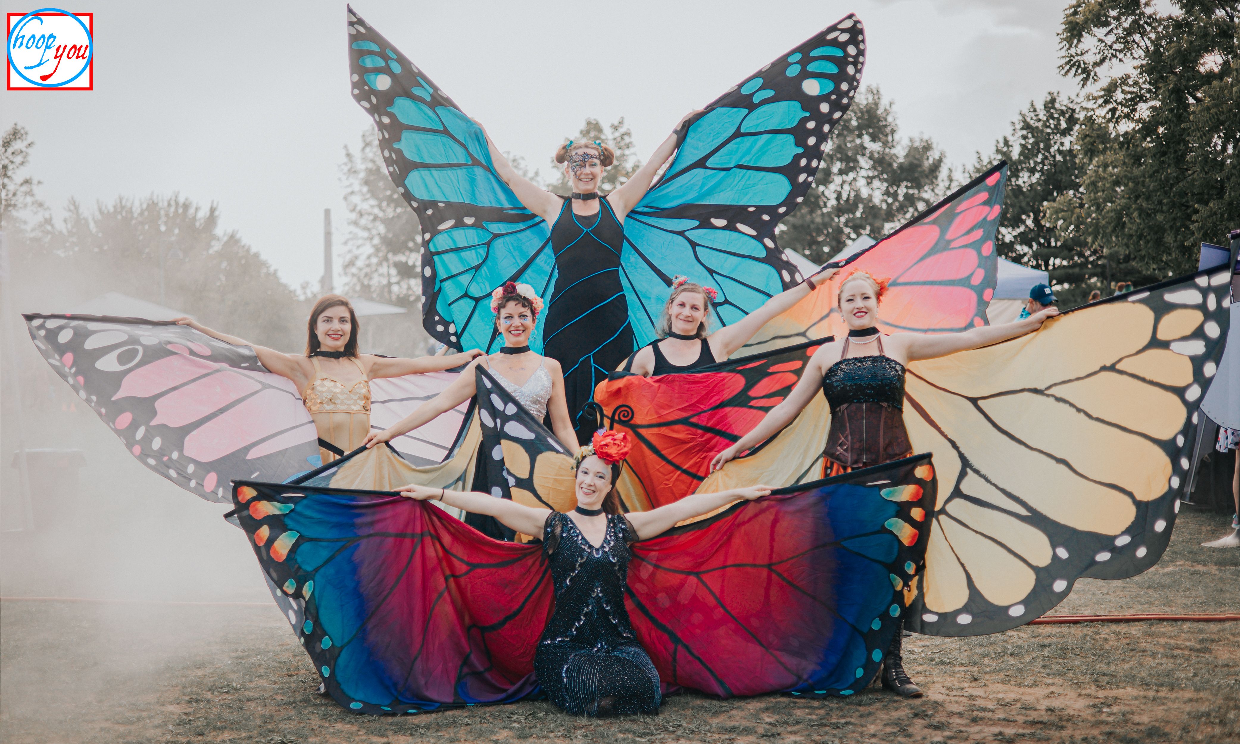 Field of Butterflies