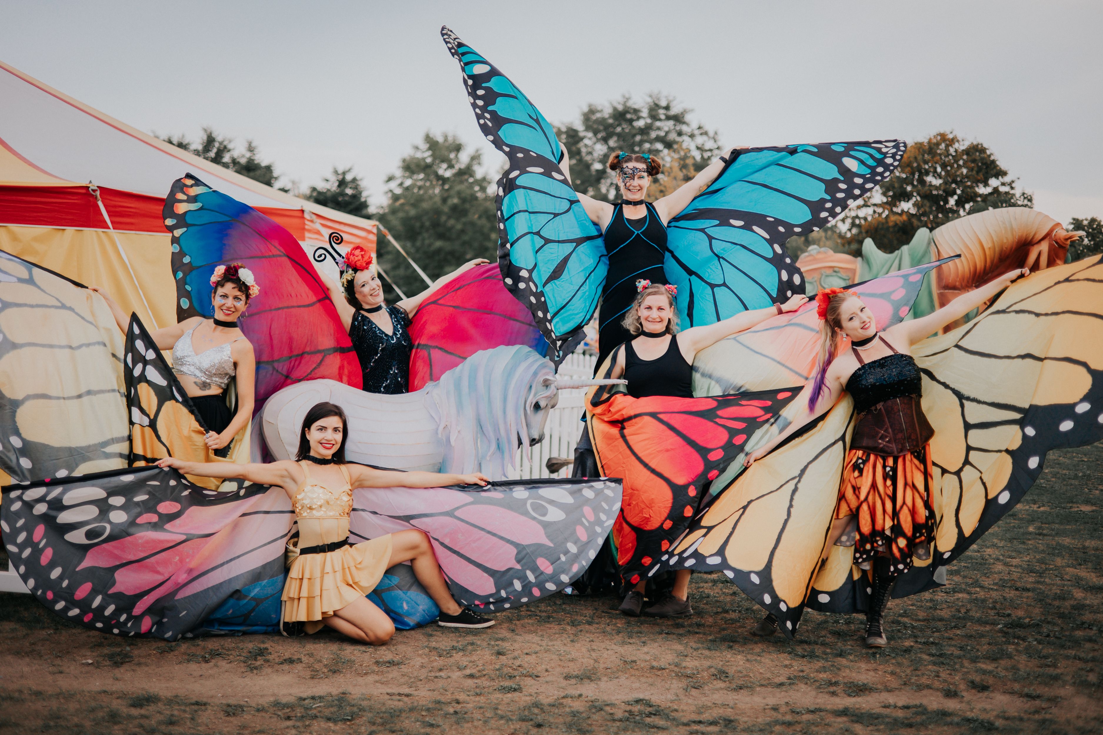5 colourful butterflies posing in front of of busking circus tent