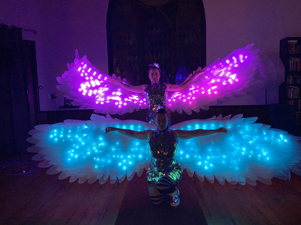 angel glow wings LED smart show